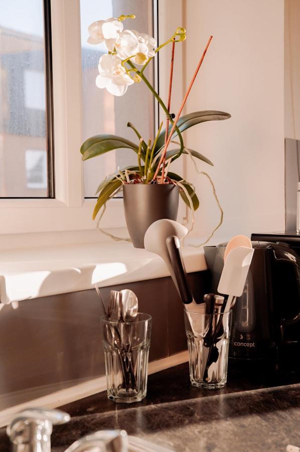 Apartmany Centrum Nový Bor 外观 照片